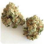 Шишки "White Widow" (Белая вдова) Гидропоника - Бошка VHQ в Магадане Шишки "White Widow" (Белая вдова) Гидропоника - Бошка VHQ в Магадане