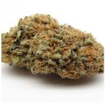 Шишки AK47 (Гидропоника, Бошка) VHQ в Магадане Шишки AK47 (Гидропоника, Бошка) VHQ в Магадане