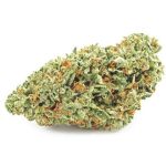 Шишки OG Kush (Гидропоника, бошки) VHQ в Магадане Шишки OG Kush (Гидропоника, бошки) VHQ в Магадане